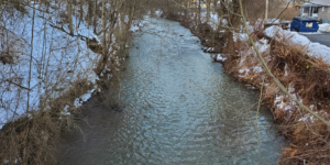 After picture of the receiving stream taken at the same location as the before one. receiving-stream-after